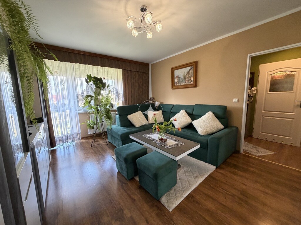 kawalerka w Gryfowie Śląskim