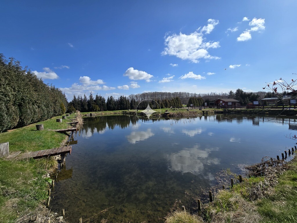 Smażalnia ryb, łowisko, hodowla, gotowy obiekt