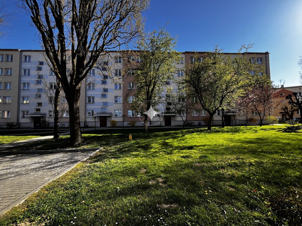 Przestronne mieszkanie w bloku