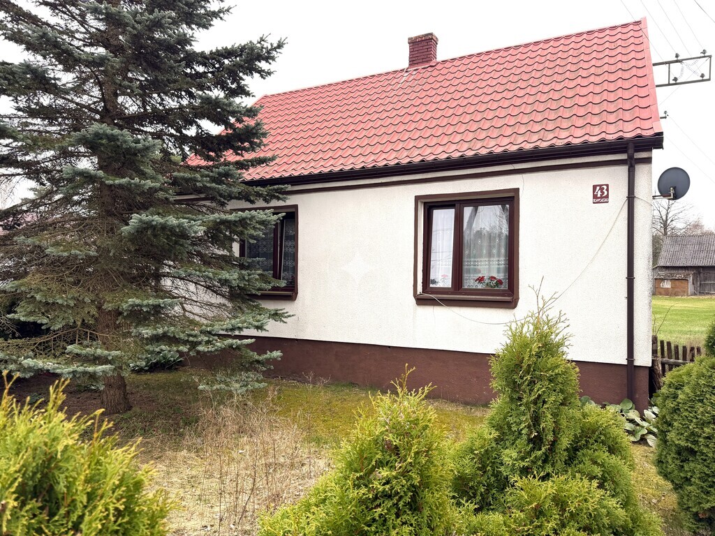 Dom, budynki gospodarcze, las i dodatkowy teren