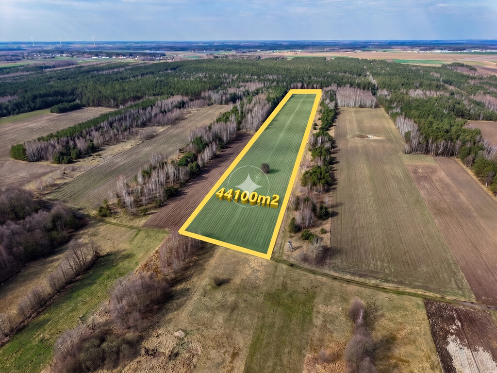 Działka rolna ponad 4,4 Ha w Małaczewiczach Dużych