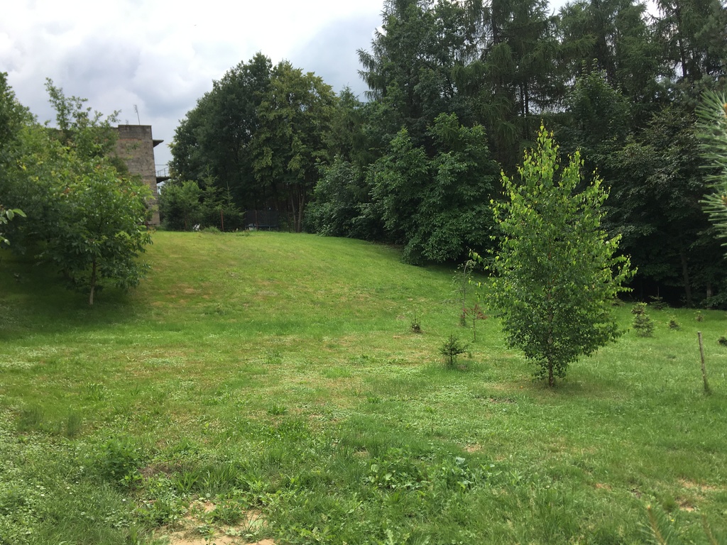 DZIAŁKA PEŁNA ZIELENI