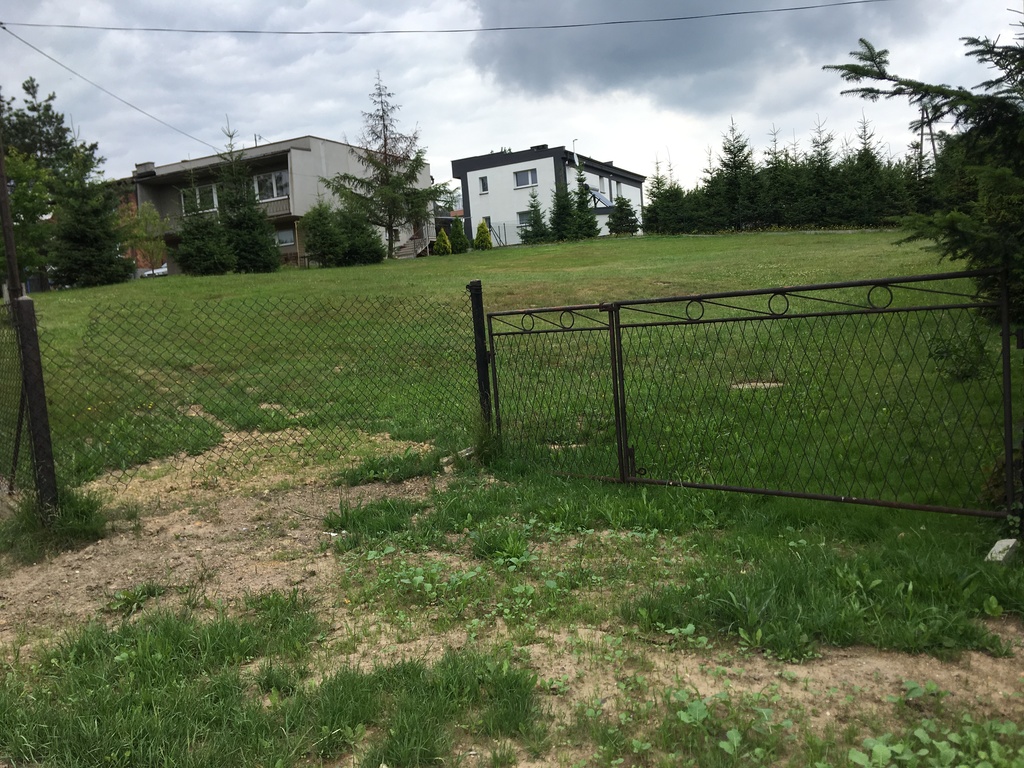 DZIAŁKA niedaleko miasta.