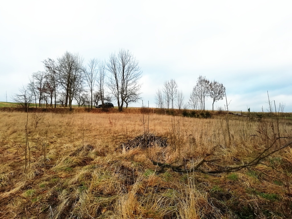 Duża działka z domem, Sulisławice