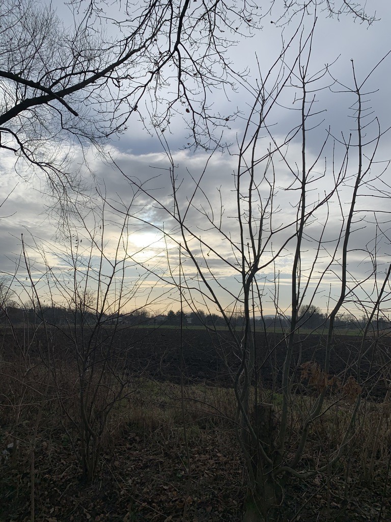 Inwestycyjna- TANIA działka .