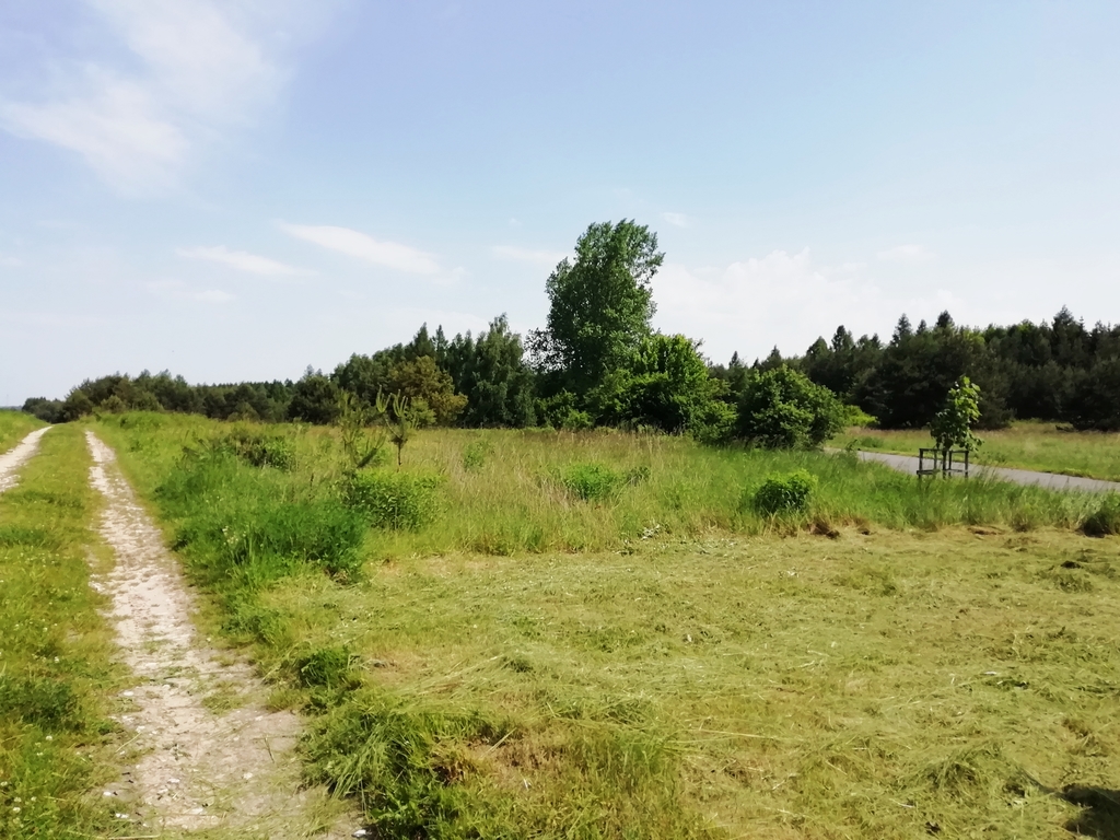 Działka Kwaśniów Górny