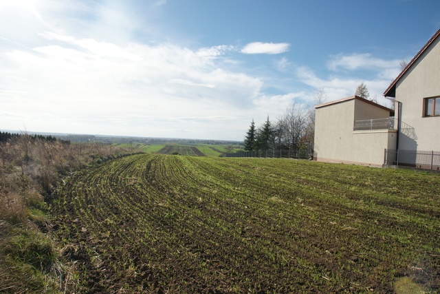 Działki na sprzedaż w Miechowie!
