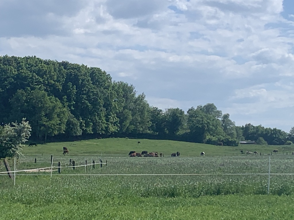 DZIAŁKI 2 KM OD MORZA..!!!