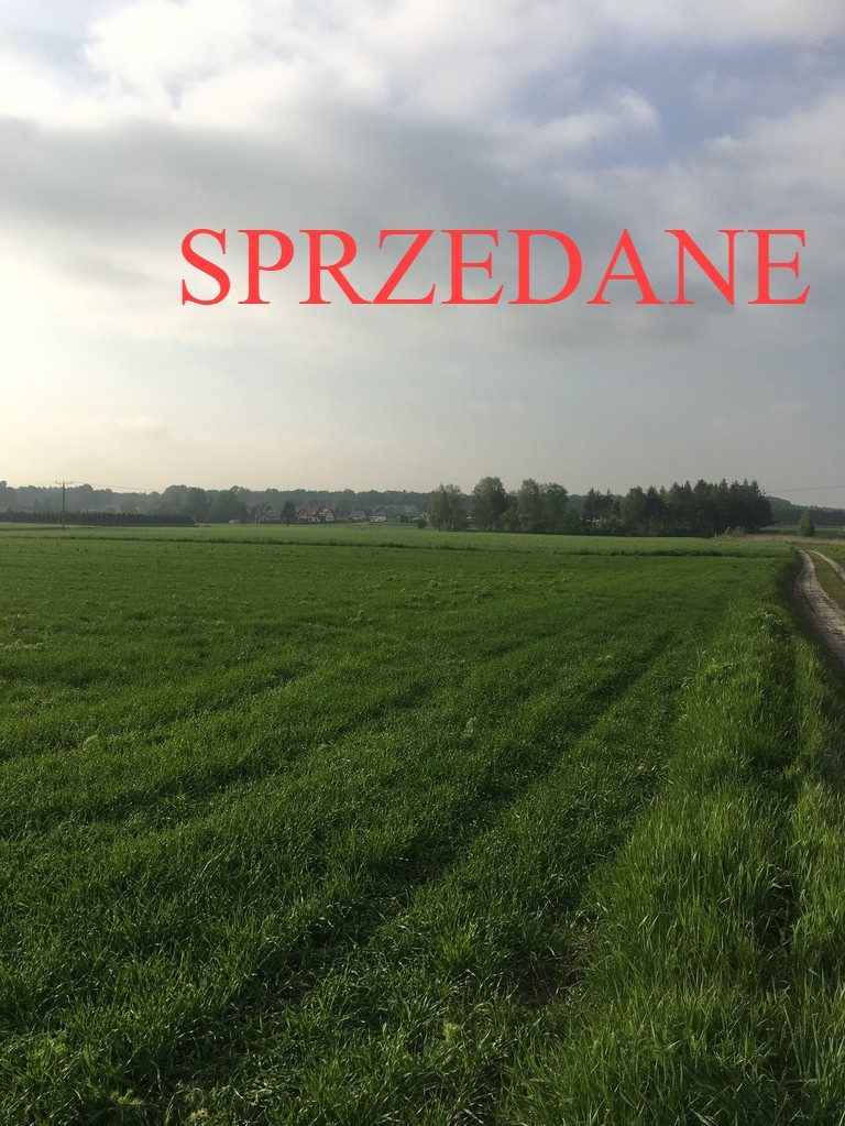 ORZESZE- NOWE DZIAŁKI...