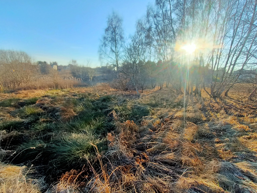 Działka budowlana Rybnik Niedobczyce 17 arów