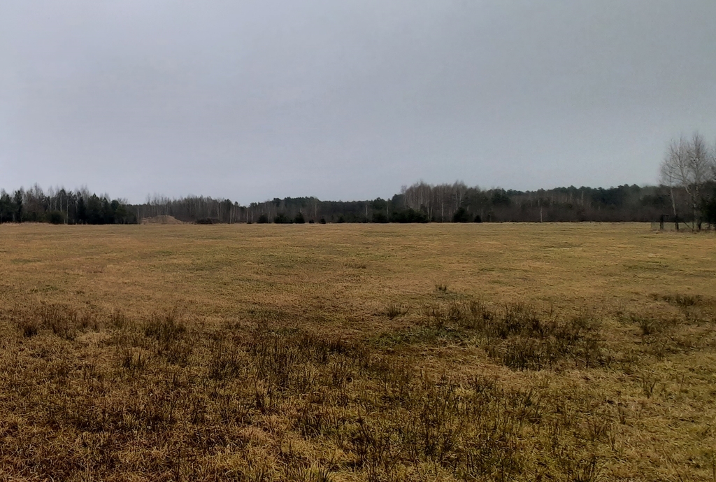 Działka 3001m2 z mediami i potencjałem zbudowy