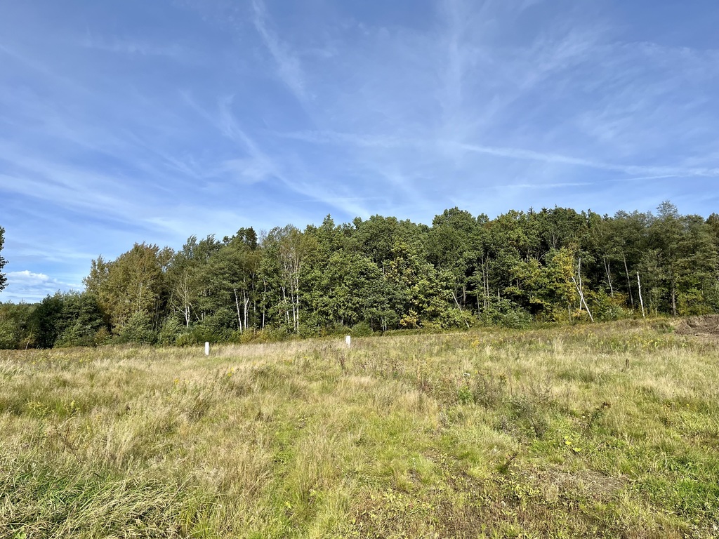 Widokowa działka w Jeleniej Górze z górami w tle