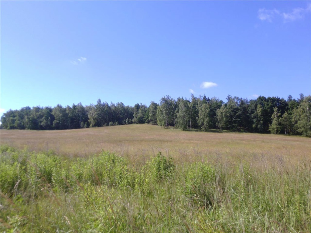 Działka – Okmiany