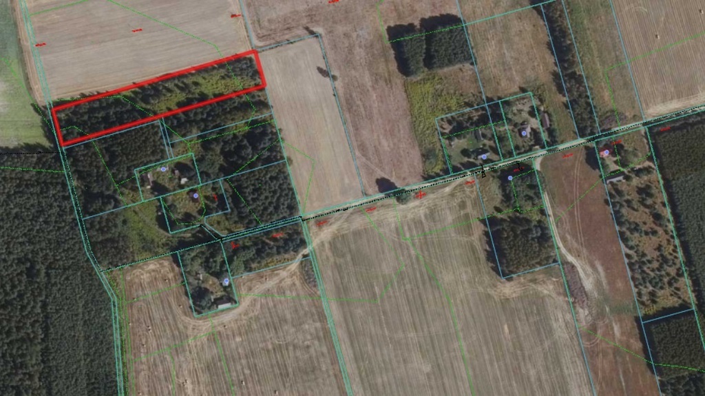 Działka rolna. Zielona. Gmina Gródek.