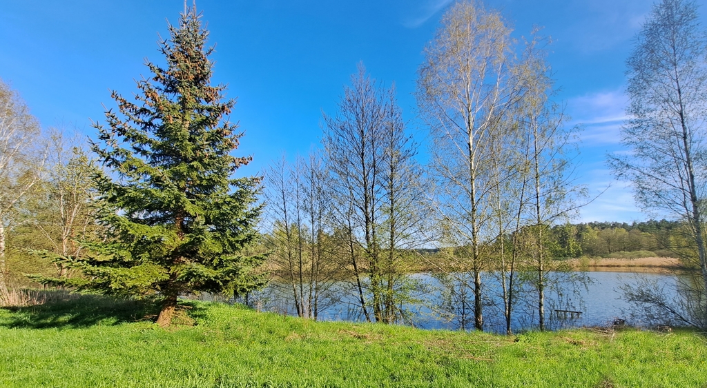 Nieruchomość 1,5 HA ze stawami rybnymi