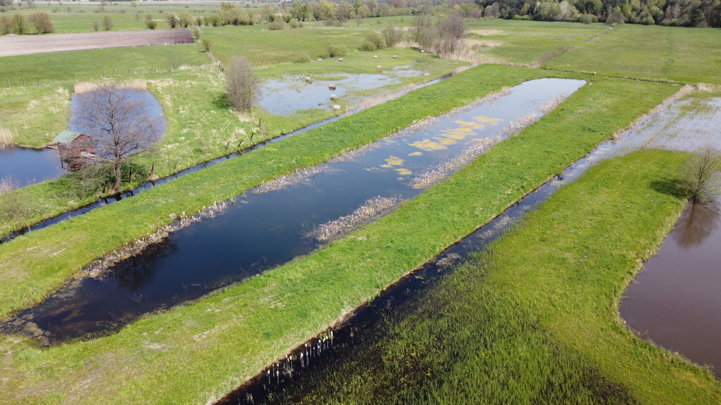 MALOWNICZA łąka ze stawem 8200 m2 w MATIASZÓWCE!