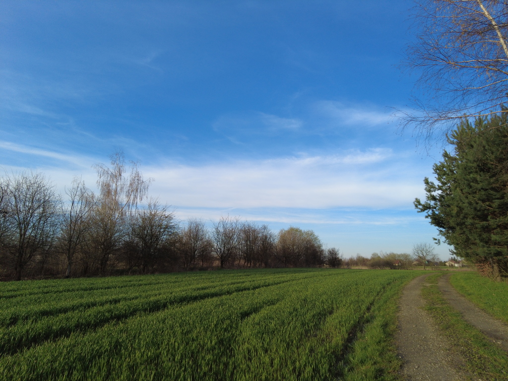 Działka inwestycyjna w Cikowicach k/Bochni