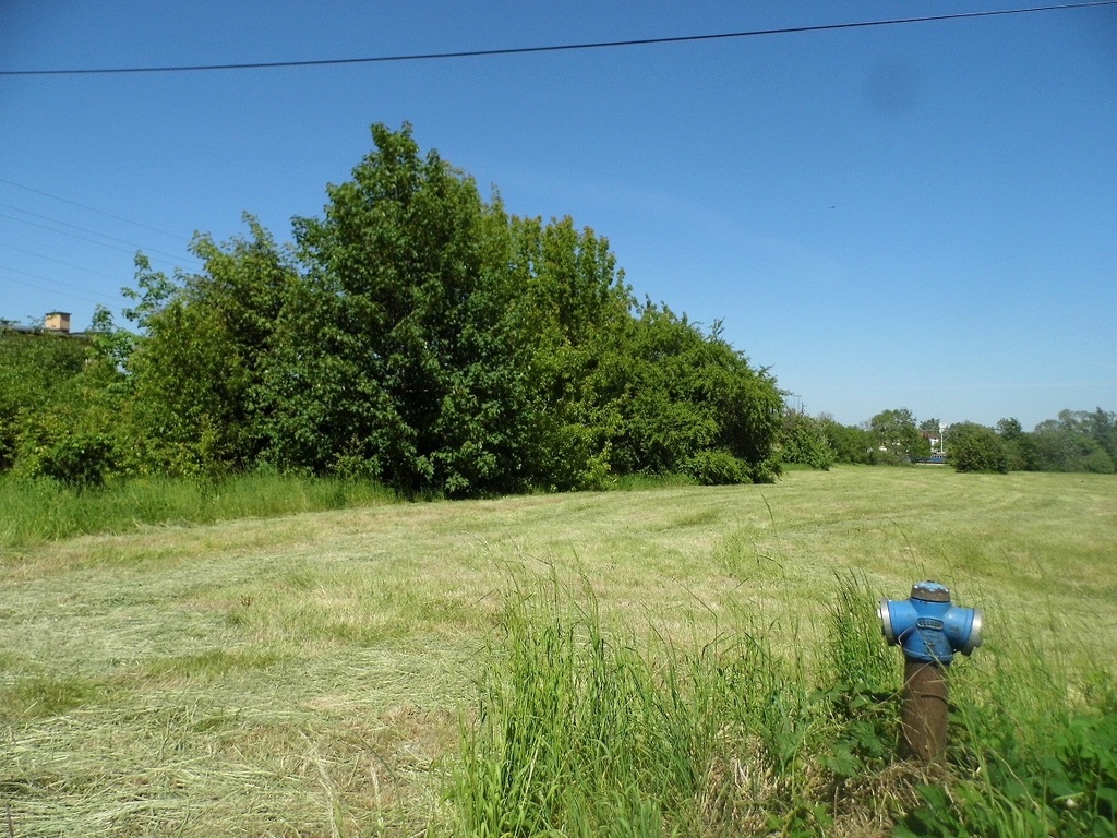 Działka Przemysłowa - na sprzedaż!
