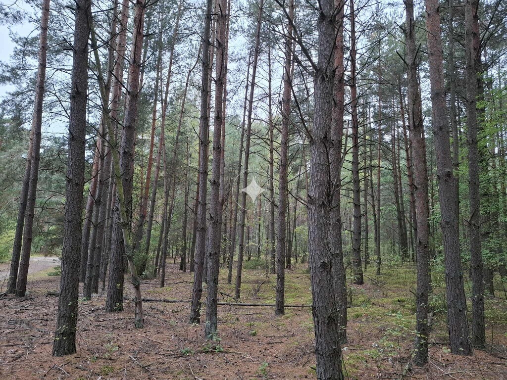 Działka – Uhowo