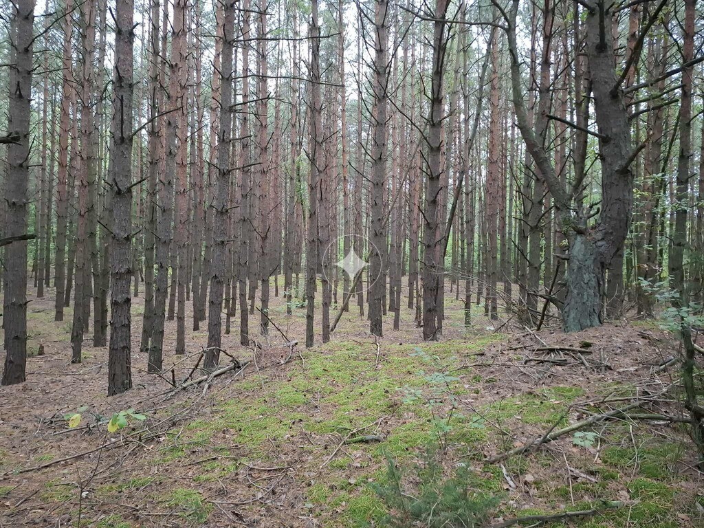 Działka – Uhowo