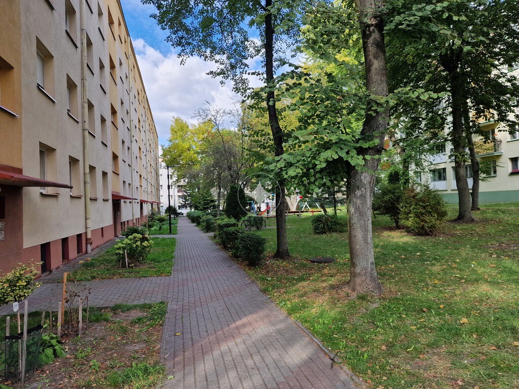3 pokoje na Antoniuku, które urządzisz po swojemu