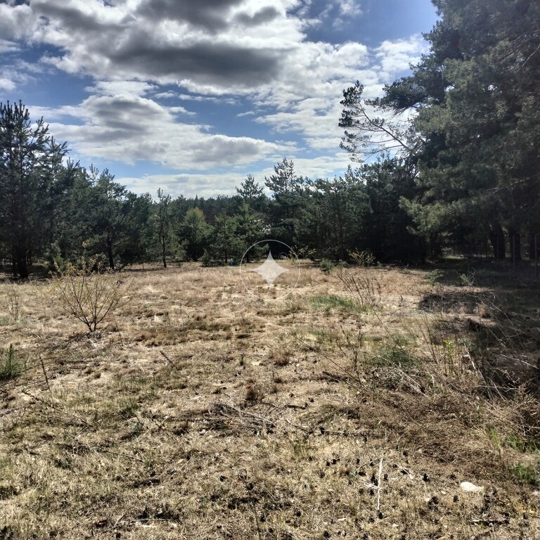 DZIAŁKA  911M2 Cierpice
