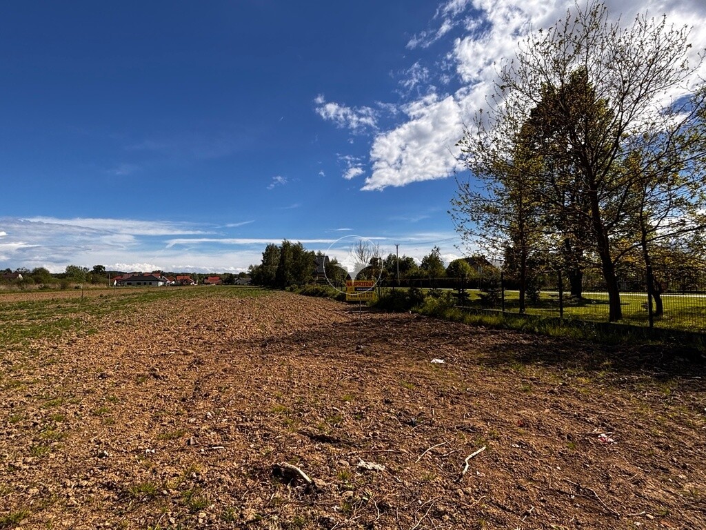Krzeczów-działki budowlane w świetnej cenie
