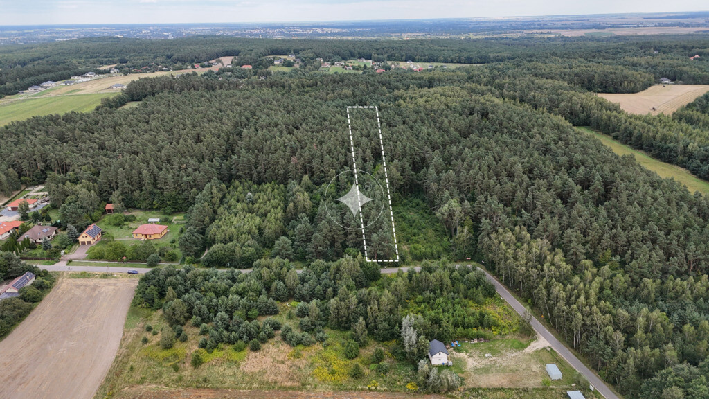 Działka w Janowie 4700m2 leśna