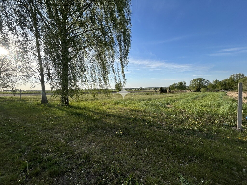 2 działki z WZ | 1205 m² | Janów Podlaski