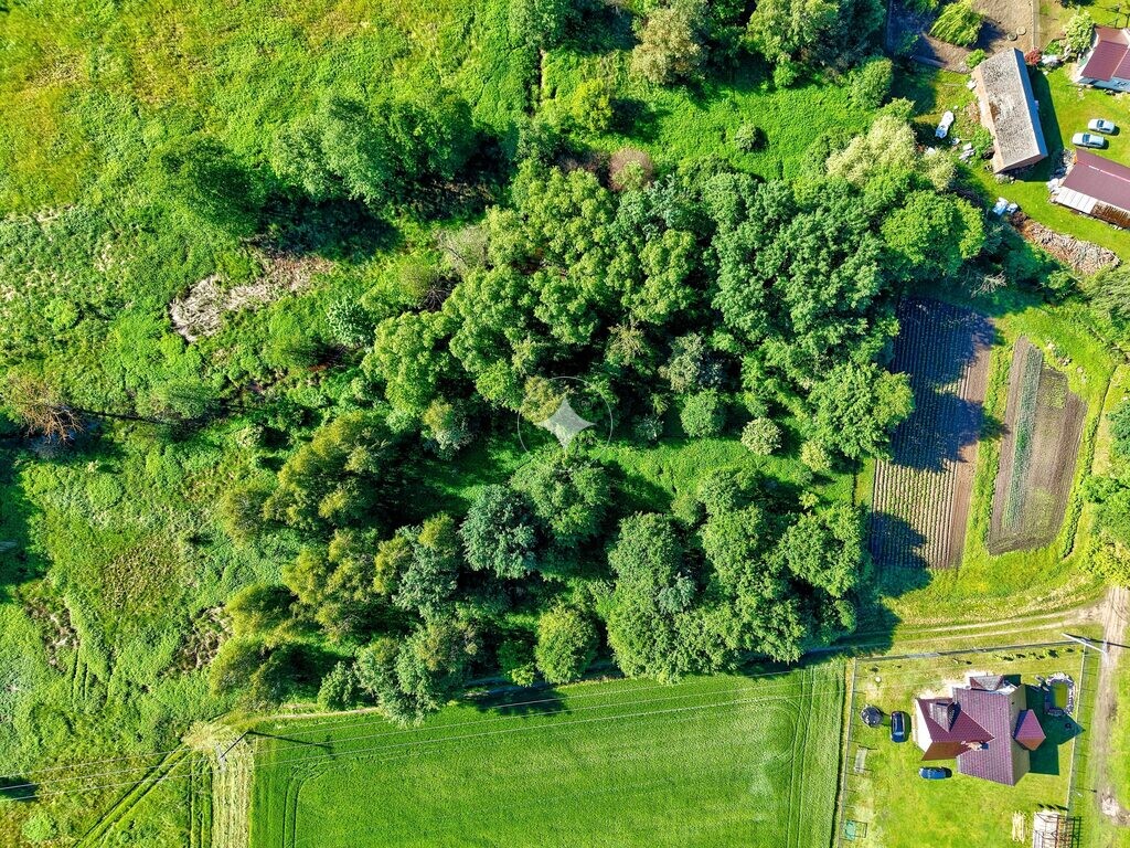 Działka budowlana 5000m2 /Skoroszów