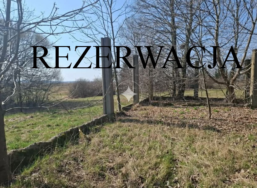 Siedlisko w gm. Suraż