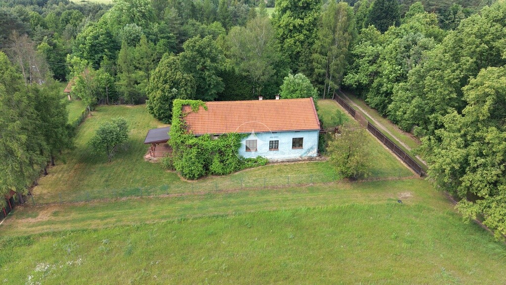 Urokliwy dom w otoczeniu lasów Czepurka