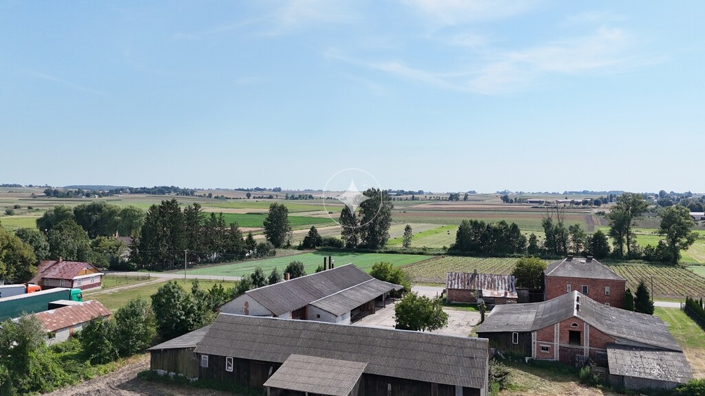 Duże siedlisko w Mołożowie