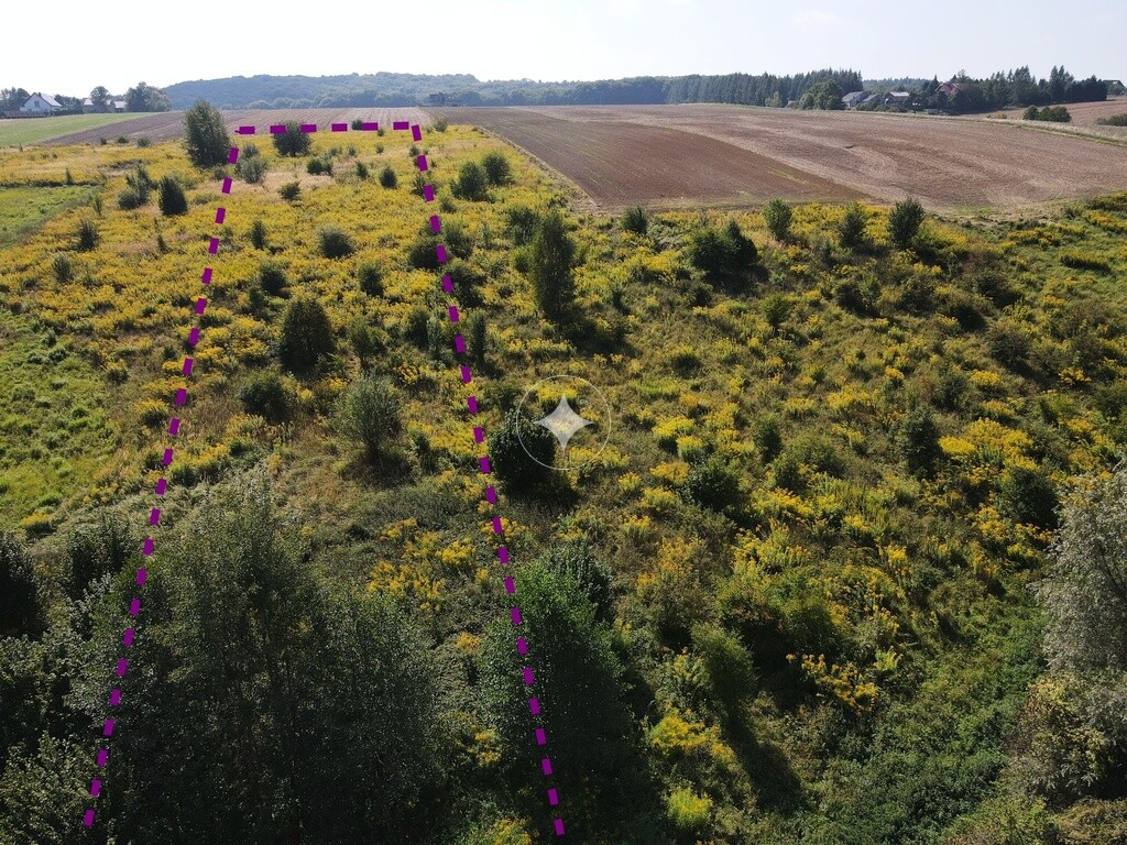 Działka koło Skały, trasa Kraków
