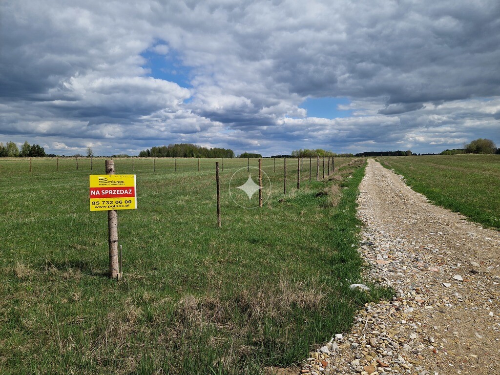 Henrykowo – Raj wśród zieleni, spokój i natura