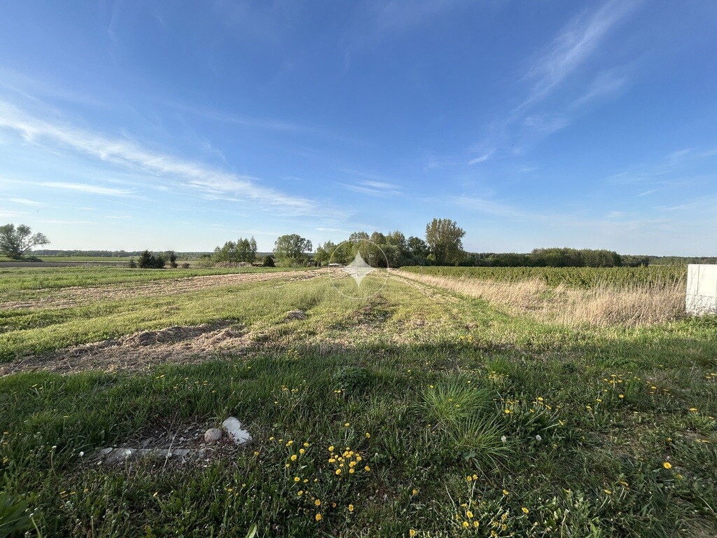 2 działki z WZ | 1205 m² | Janów Podlaski