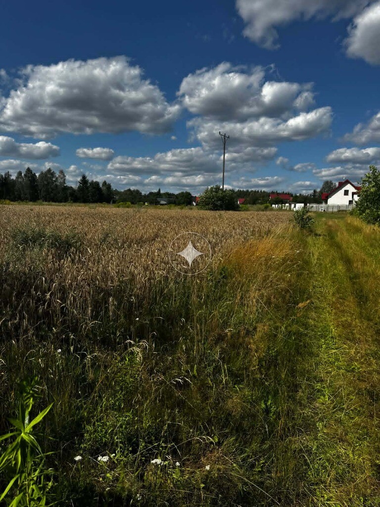 Piękna działka pod zabudowę. Bedlno gmina Końskie.