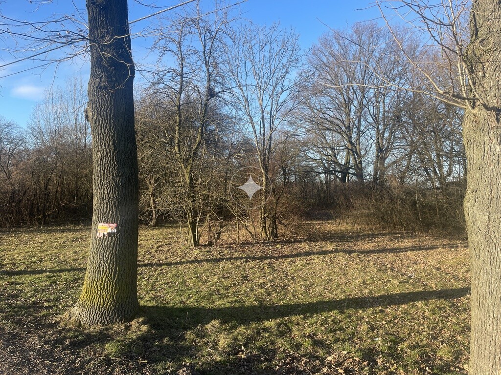 Działka w pięknym starodrzewie