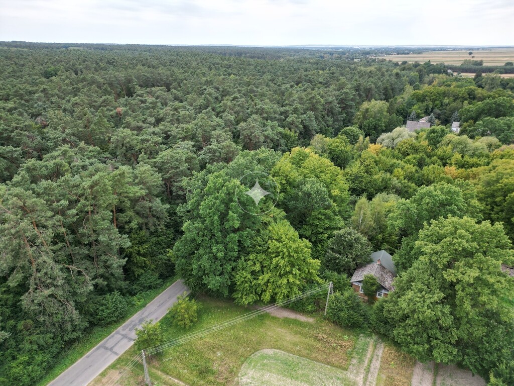 Siedlisko w otulinie drzew,  bez sąsiadów- Stójło