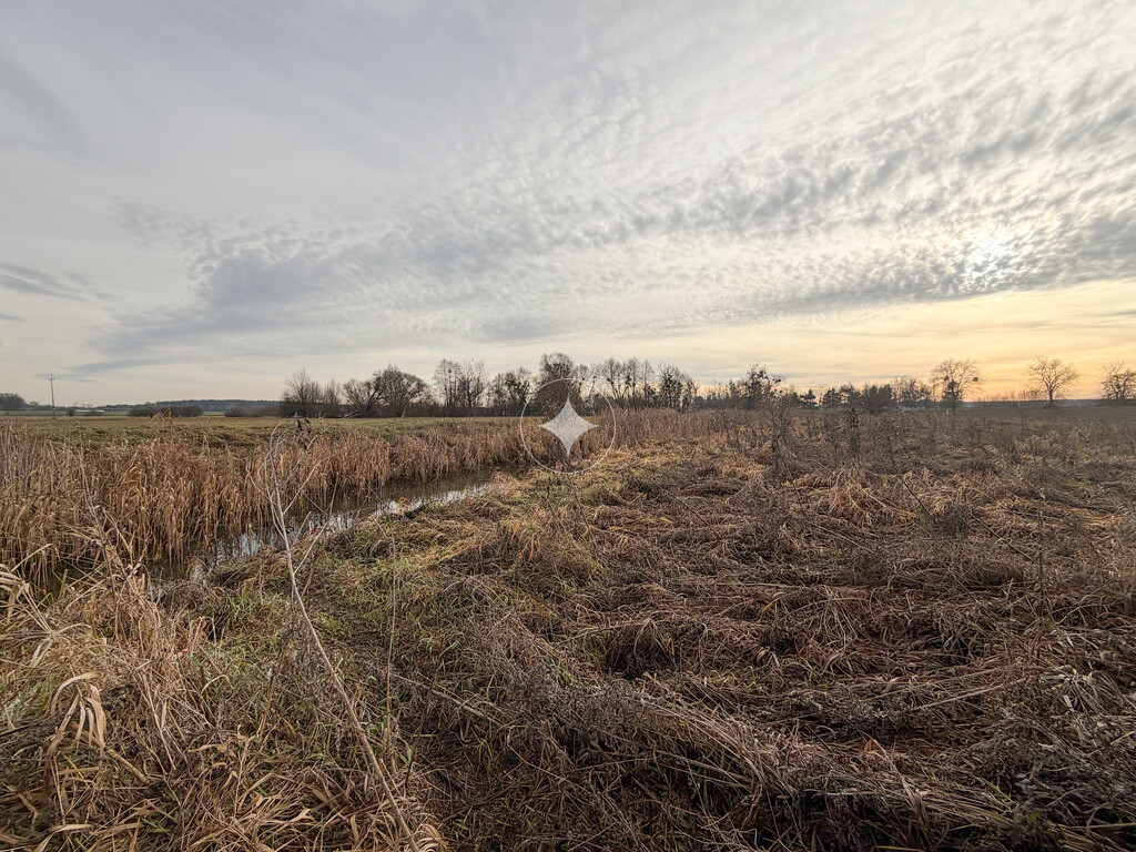 Działka rolna 0,84 ha Turka, gmina Dorohusk