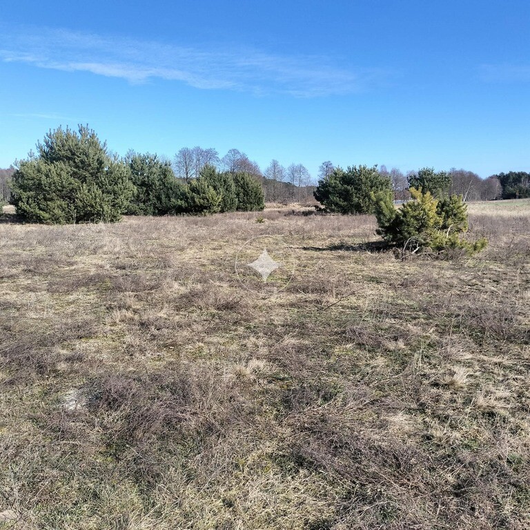 Działka 1035m2 | Goreń Duży | przy drodze