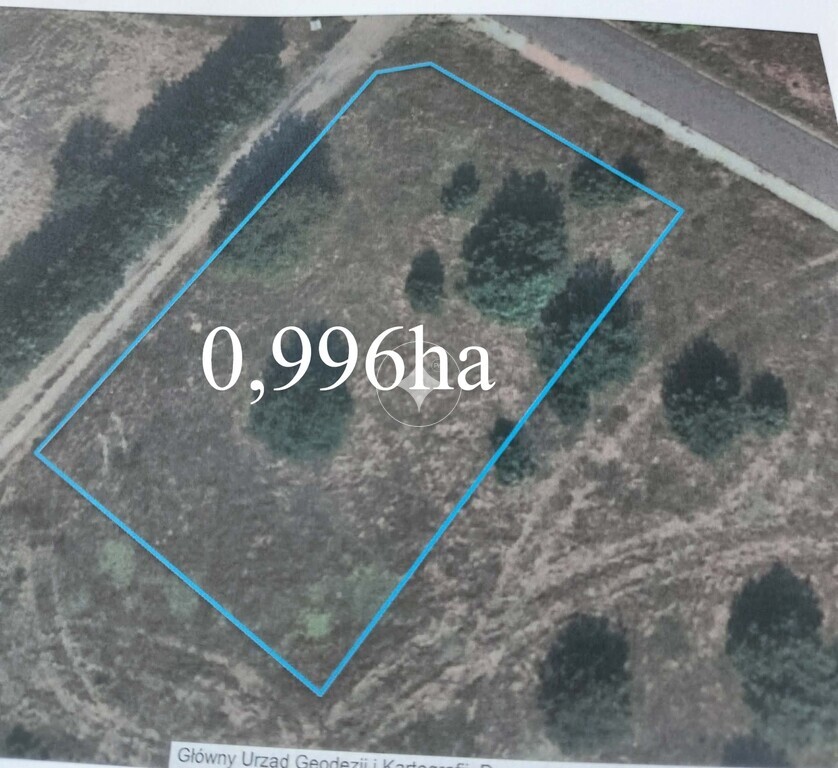 Działka 996m2 | Goreń Duży  | jezioro |