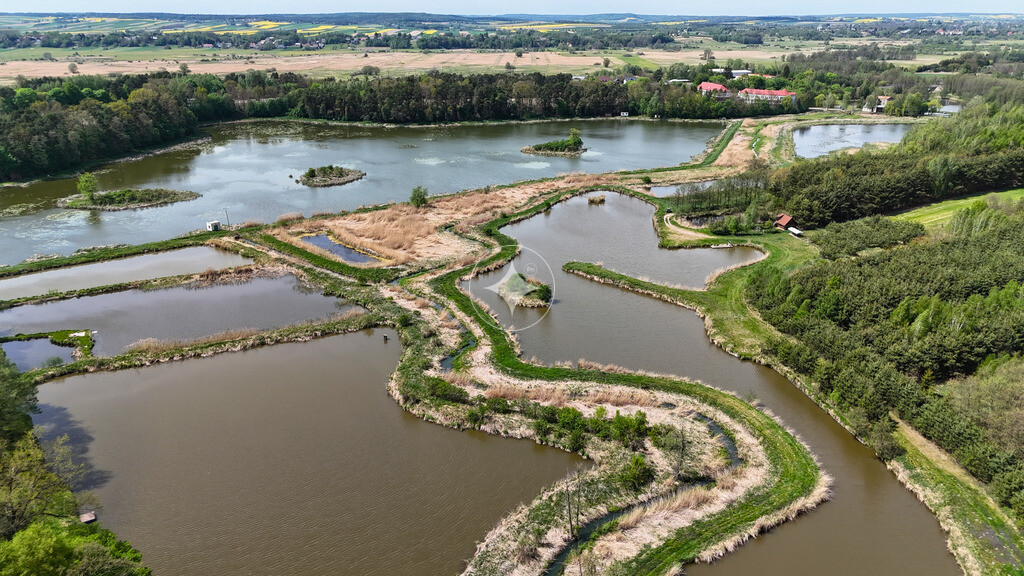Staw rybny 2,74 ha – Małochwiej Duży