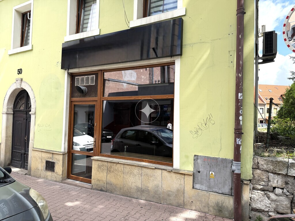 Lokal handlowo-usługowy w centrum miasta