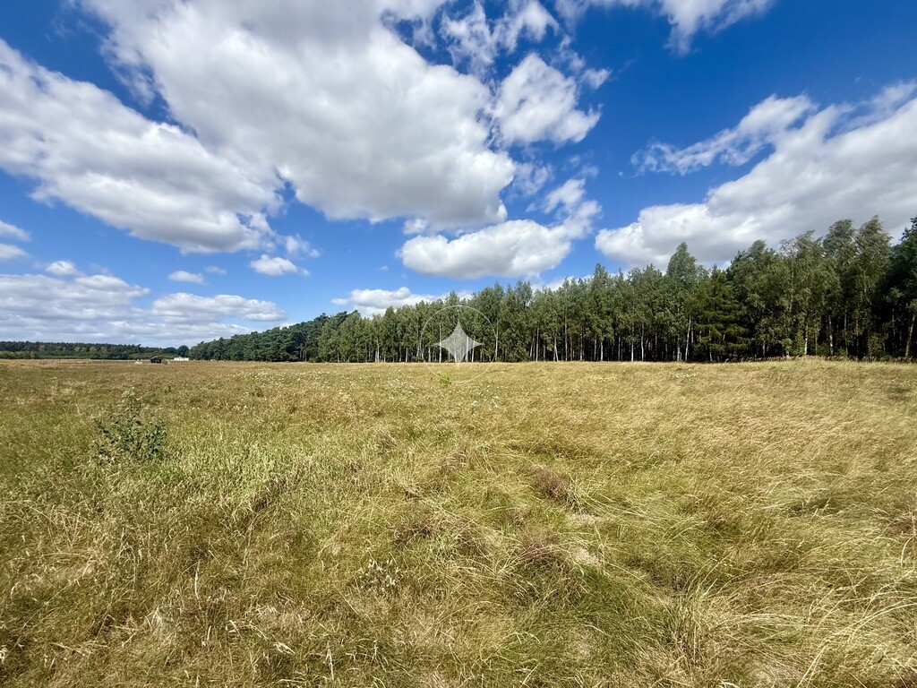 Działka przy lesie, Trzęsów