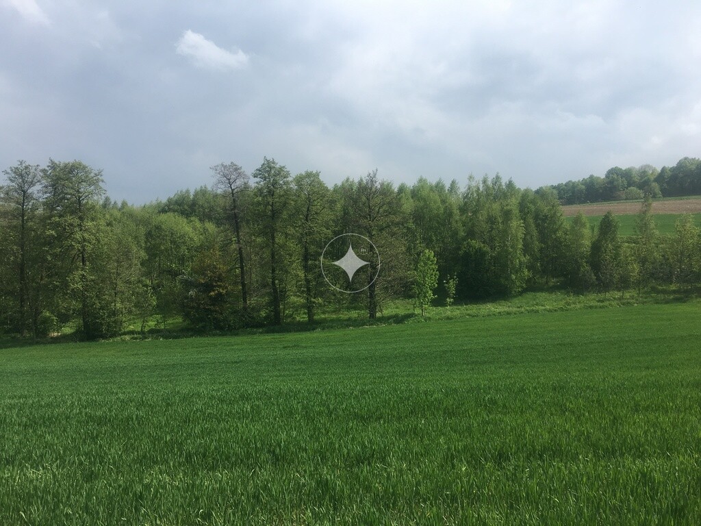 Działka położona blisko gór.