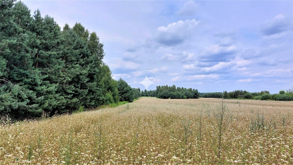 Działki budowlane Sławacinek Stary