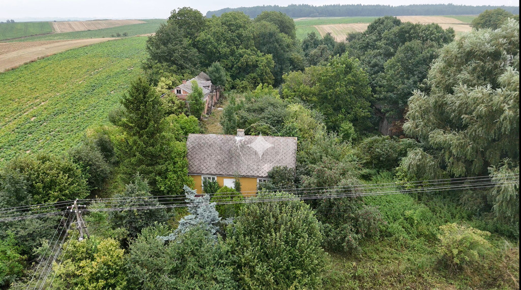 Drewniany dom z dużą działką i sadem-Telatyn