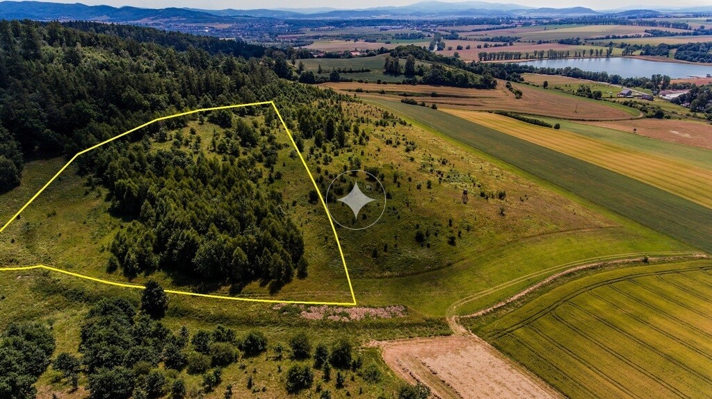 DZIAŁKA W GÓRACH 1,780 Ha BIERKOWICE, KŁODZKO