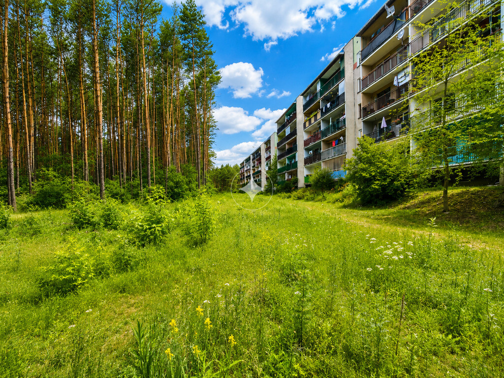 3 pokoje z widokiem na las | 57,60m² | Siemiatycze